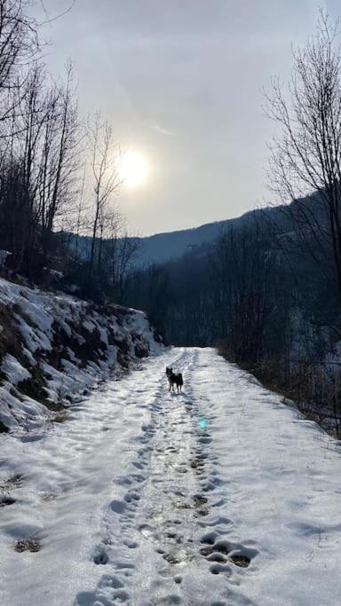 לימונה פיימונטה Little Canadian Lodge, Limone מראה חיצוני תמונה